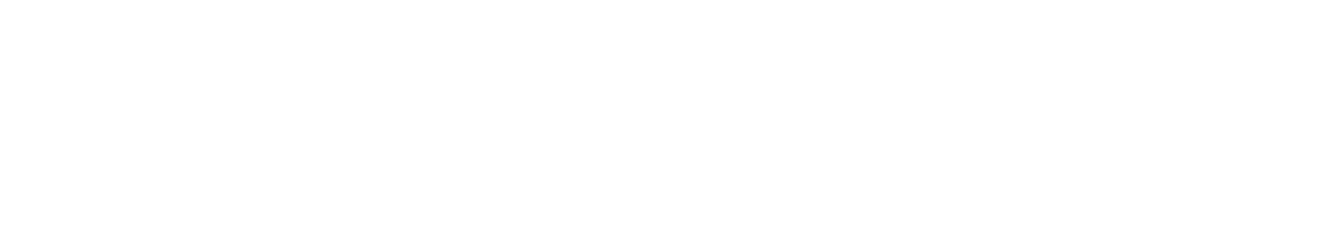 logo blanc rustineetpompette saint francois